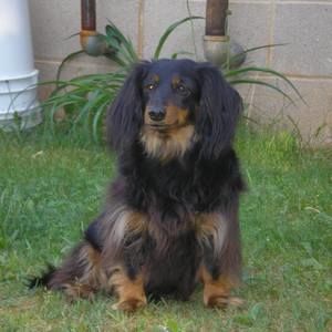 Meet your Posher, Nan